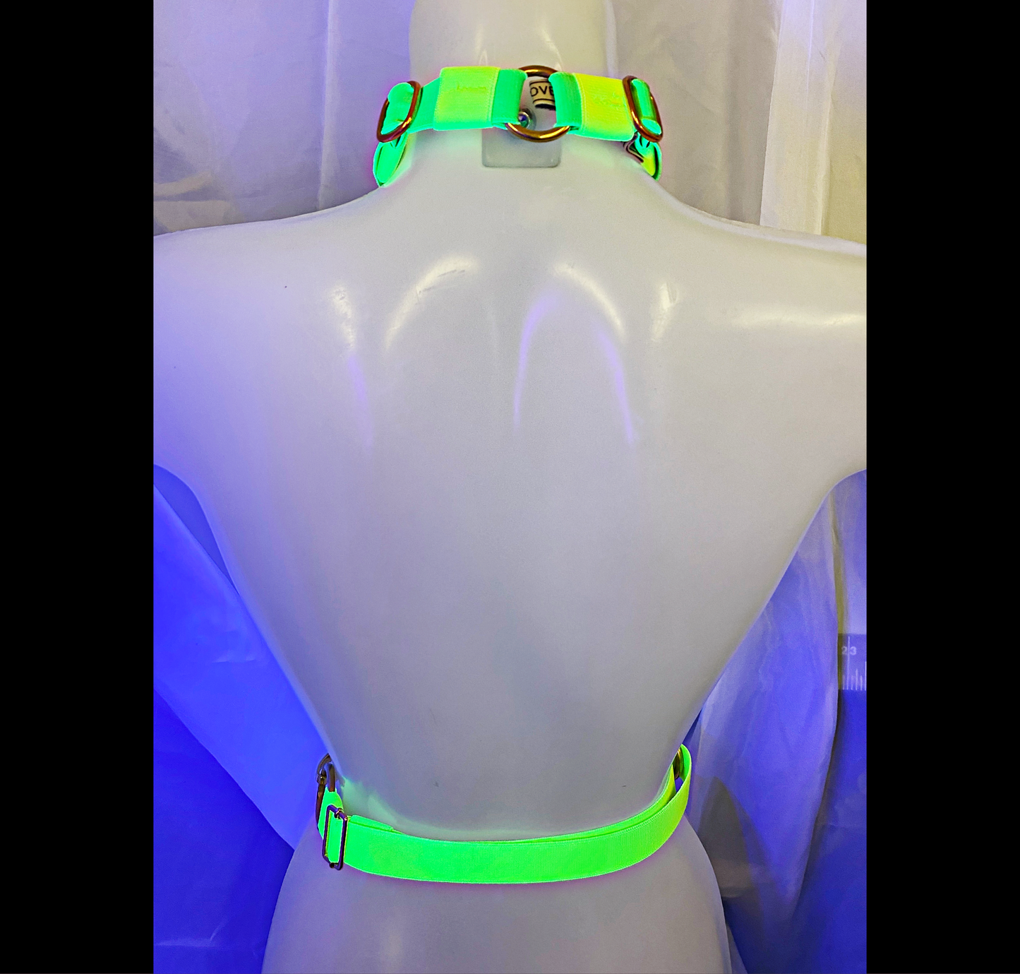 TRIUMPH UV Tie