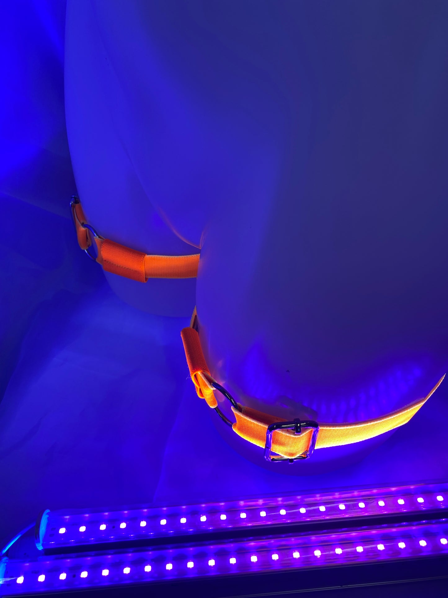 UV Garter Sets